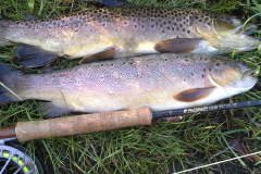 1_fischerkurs-bachforellen