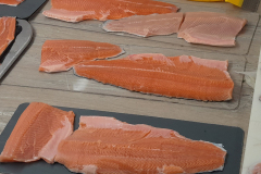 fischerkurs-chiemgau_forelle_graved2