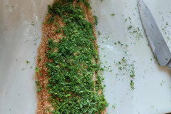 fischerkurs-chiemgau_forelle_graved3