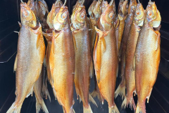 fischerkurs-chiemseerenke-geraeuchert